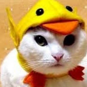 Meet your Posher, Jonathan